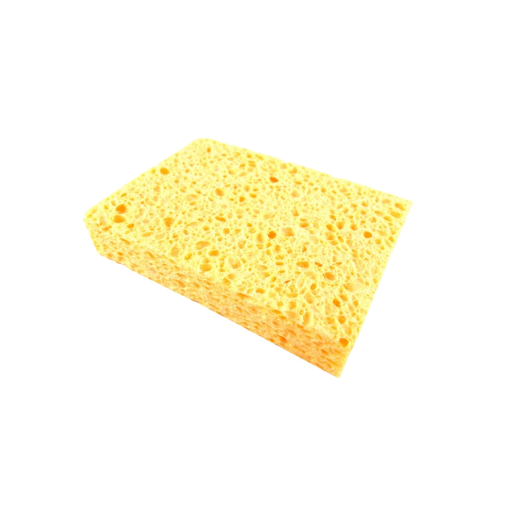 Éponge Végétale