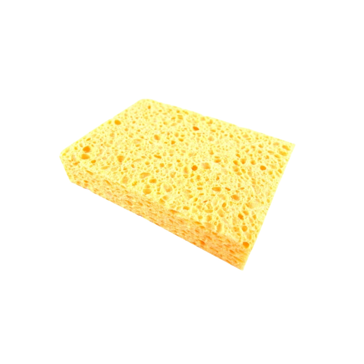 Éponge Végétale